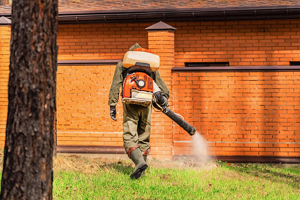 Trusted Termite Control service in Swede Heaven, WA - Nex Pest Control